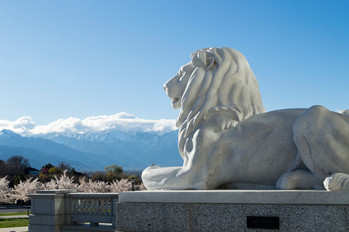 This satisfied looking lion is positioned outside the Utah\nCapital building.  We took a tour during our staycation\nin Salt Lake City.  We arrived early in the morning and the\nplace was deserted.  The light was great, however, for\ncapturing some shots of the exterior including this lion\nwhich appears to be looking out upon his kingdom. In\nthe background are blooming cherry trees and snow-\ncapped mountains that surround the Salt Lake Valley.