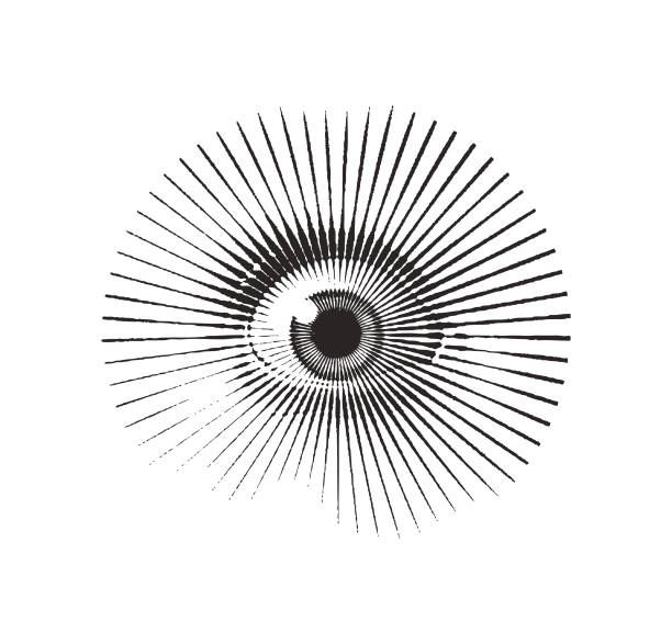 крупным планом глаза с испуганным выражением - eyeball stock illustrations