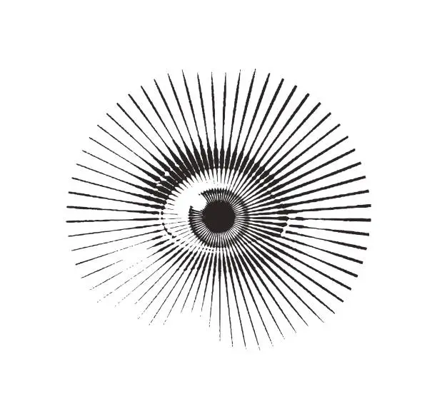 Vector illustration of Close up of eye with frightened expression