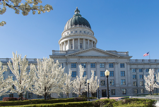 Got this shot of the Utah Capitol building during our recent visit.  The place is beautiful inside and out, especially with all the cherry blossoms on the grounds.