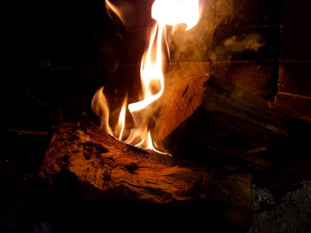 istock fire flames  woods  fireplace winter background 1050339738