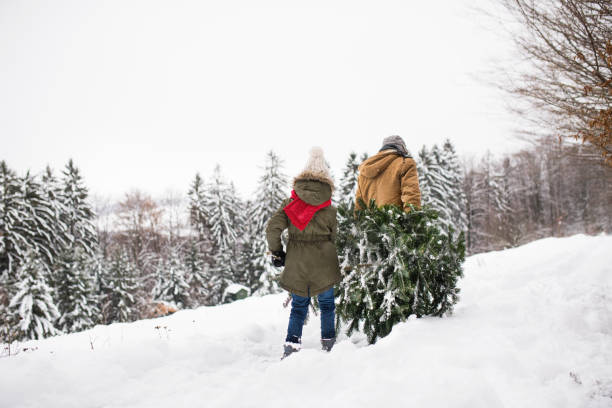 istock Grandfather and small girl getting a Christmas tree in forest. 1050339890