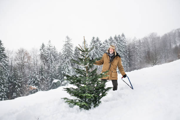 istock Senior man getting a Christmas tree in forest. 1050342292