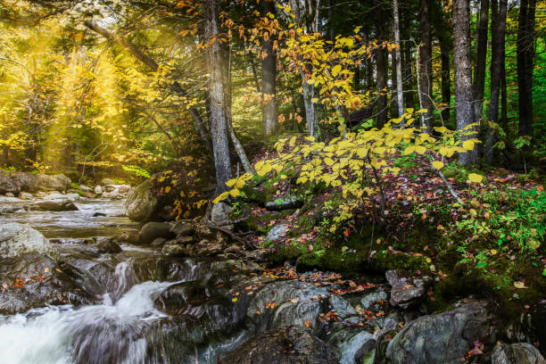 istock Autumn golden hours with sun beams 1050349494