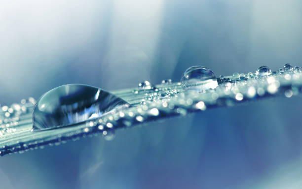 istock Large transparent drop of water dew on grass close up. 1050359638