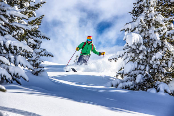 esquiador freeride de carga hacia abajo a través del bosque en polvo fresco, kuhtai, austria - blue european alps sky mountain fotografías e imágenes de stock