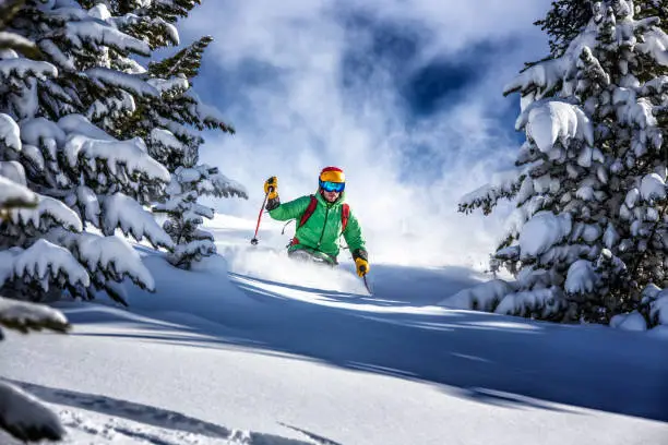 Young male skier skiing in fresh snow through the trees in austrian ski resort