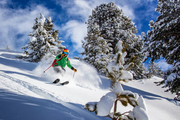 istock Freeride skier charging down through the forest in fresh powder, Kuhtai, Austria 1050380110