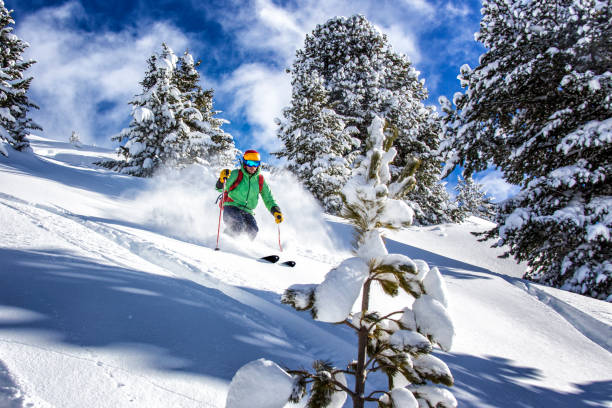 istock Freeride skier charging down through the forest in fresh powder, Kuhtai, Austria 1050380112