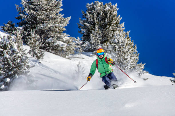 istock Freeride skier charging down through the forest in fresh powder, Kuhtai, Austria 1050380114