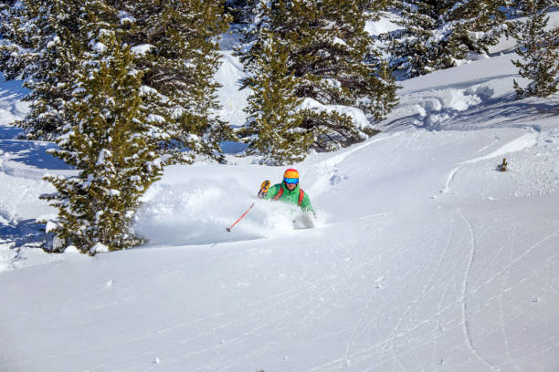 istock Freeride skier charging down through the forest in fresh powder, Kuhtai, Austria 1050380158