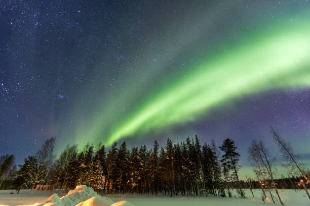istock Northern Lights over snow-covered forest, Sweden 1050383126