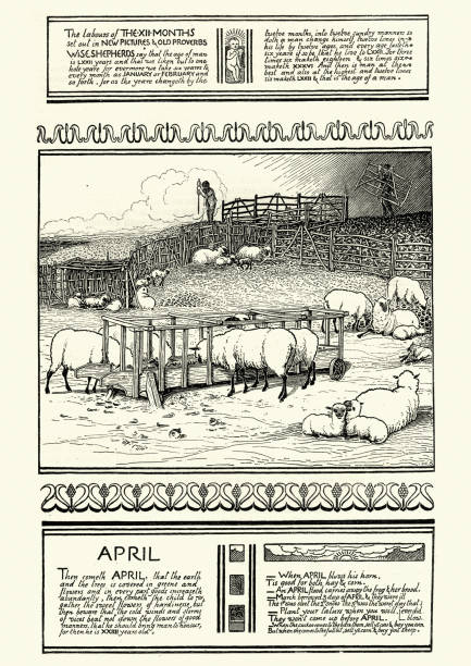 viktorianische szene für monat april, herde von schafen im stift - schafpferch stock-grafiken, -clipart, -cartoons und -symbole