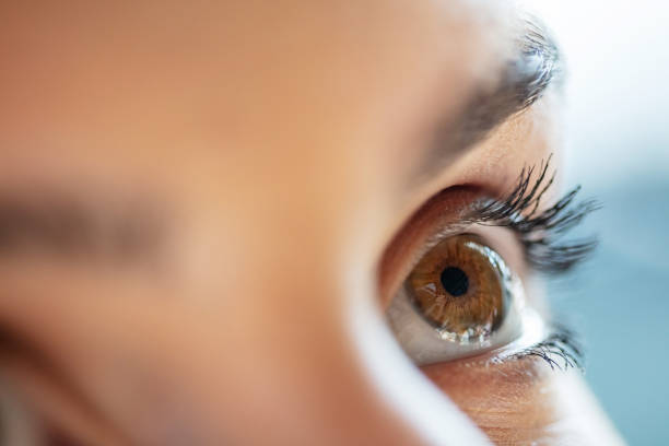 woman's green eye - 7003 imagens e fotografias de stock