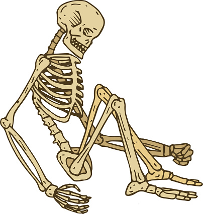 Sitting Human Skeleton. Isolated on White. Hand Drawn Illustration