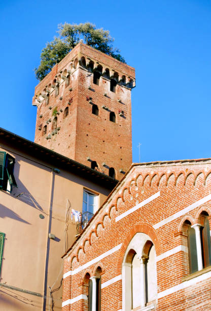 istock Torre Guinigi and its trees 1050396100