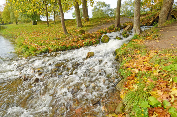 Autumn landscape in the Park.The leaves on the trees have a multicolored color.A fast stream flows into the lake.