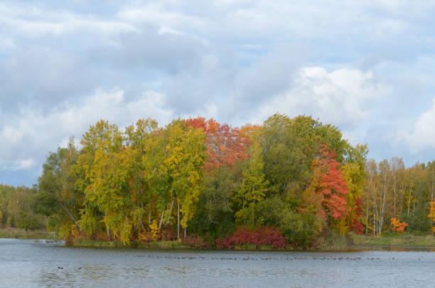 istock Autumn landscape in the Park. 1050410280