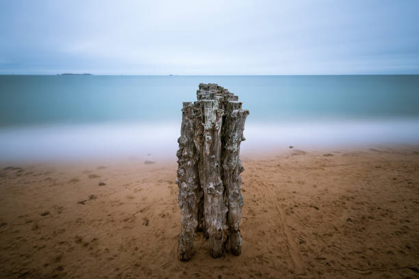 Old weathered tree trunks on the beach of Saint Malo (France), long exposure in the evening, high tide