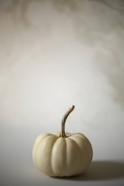 istock Single White Pumpkin Halloween against a white background, Modern Harvest Concept with Copy Space - Halloween and Thanksgiving Decorations, Chic Minimalist 1050420216