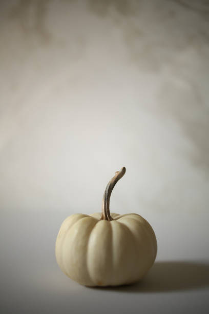 istock Single White Pumpkin Halloween against a white background, Modern Harvest Concept with Copy Space - Halloween and Thanksgiving Decorations, Chic Minimalist 1050420226
