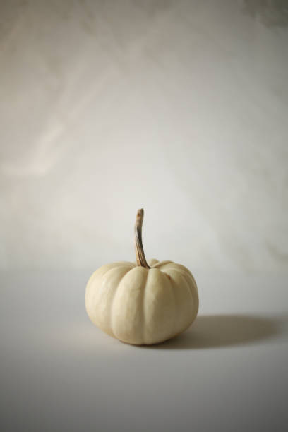 istock Single White Pumpkin Halloween against a white background, Modern Harvest Concept with Copy Space - Halloween and Thanksgiving Decorations, Chic Minimalist 1050420322