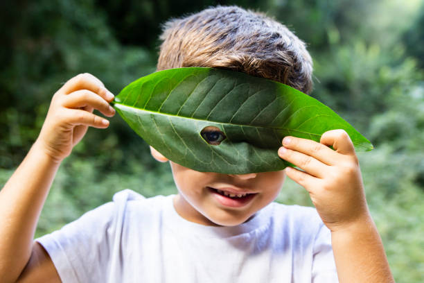 istock Little boy looking through a hole in a leaf 1050423590