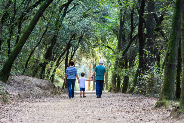 retired couple walking their grandson  on the path of a forest - couple walking old middle imagens e fotografias de stock