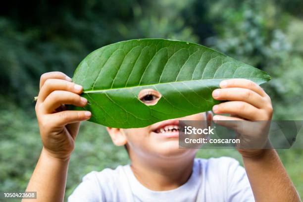 Bambino Che Guarda Attraverso Un Buco In Una Foglia - Fotografie stock e altre immagini di Bambino