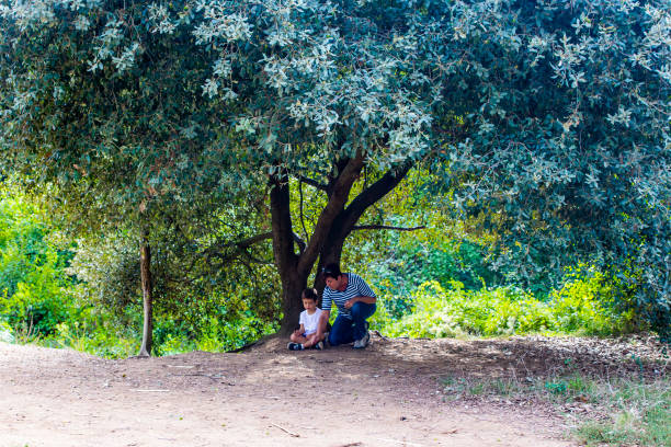 Little boy and his grandma seated  under a huge tree