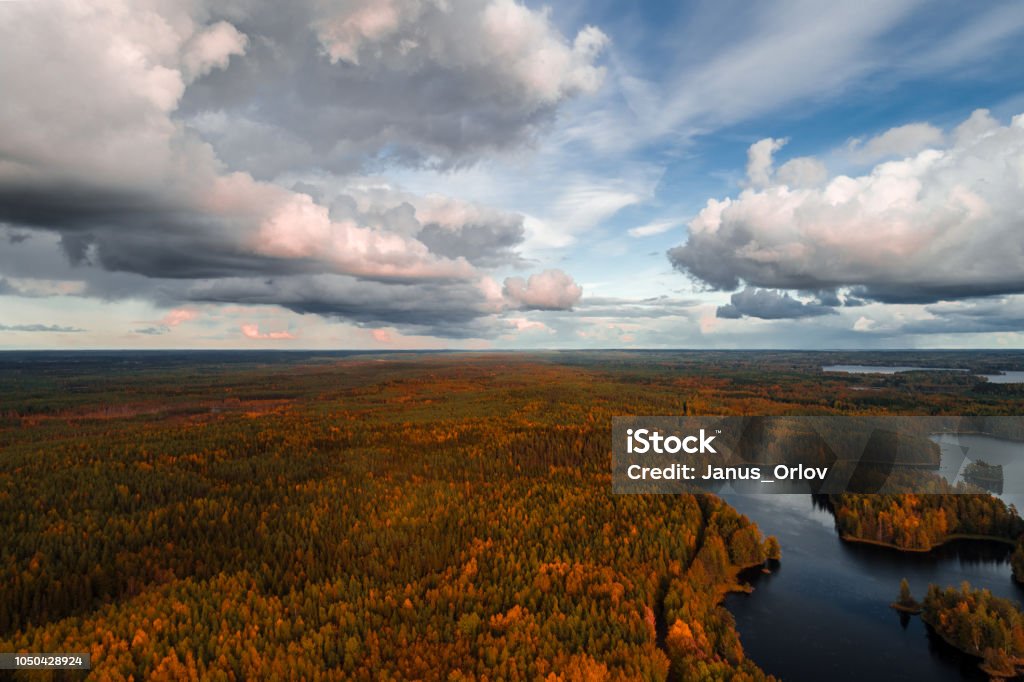 Aerial view from Liesjärvi National Park, Finland Aerial view from Liesjärvi National Park on an autumn afternoon with sun starting to go down, Finland Above Stock Photo