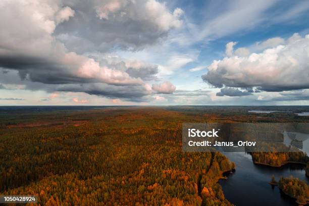 Aerial View From Liesjärvi National Park Finland Stock Photo - Download Image Now - Above, Aerial View, Autumn