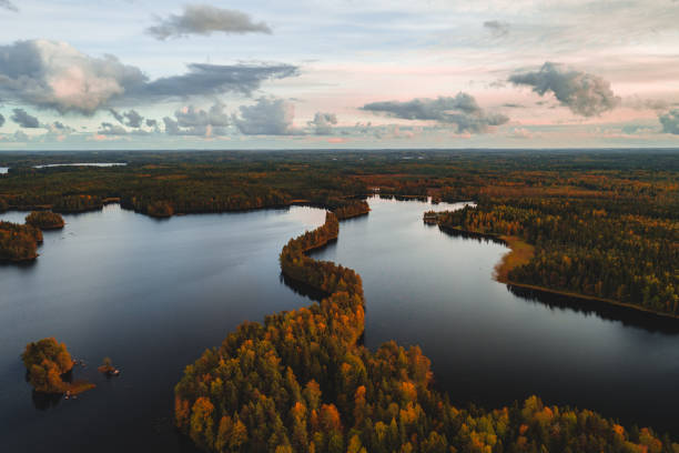 aerial view from liesjärvi national park, finland - coastline aerial view forest pond imagens e fotografias de stock