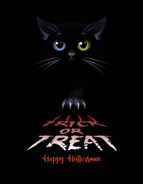 istock Trick or Treat. Black cat on the black background. 1050434696