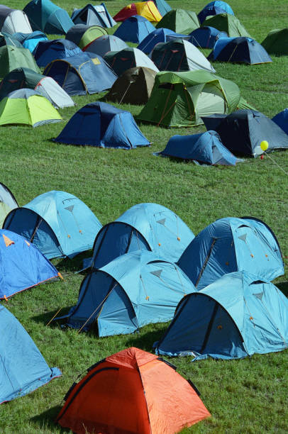 istock many camping tents on a lawn 1050434812
