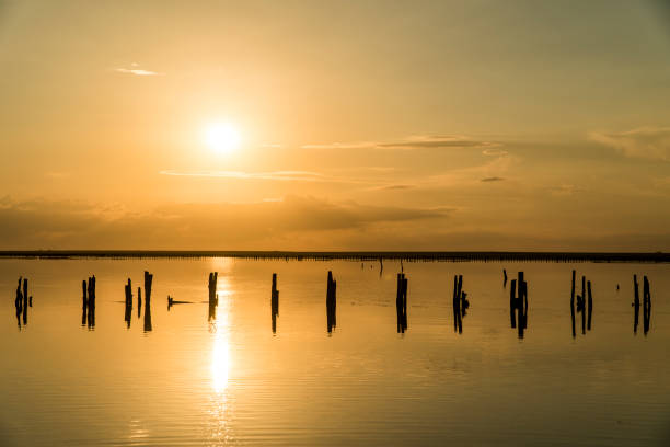 istock Sunset on a pink Salt Lake, Sivash, Arabat Spit 1050436776