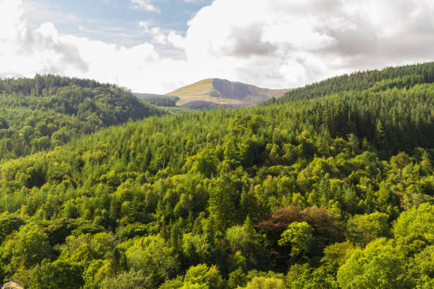 istock Welsh landscape hills and trees. 1050451302