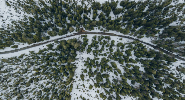 istock Aerial view of road through forest. 1050468946