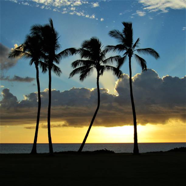 istock Maili Beach, Nanakuli, Oahu HI sunset 1050469028