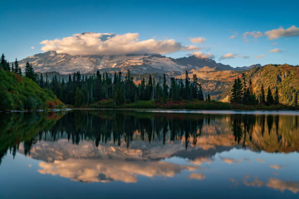istock Mount Rainier At Bench Lake 1050479838