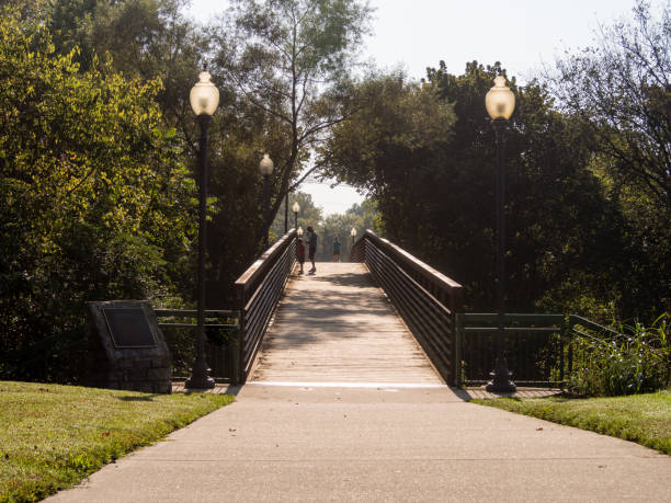 istock wooden bridge leading to park 1050502956