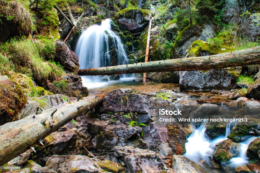 Bayerischen Nationalpark - Lizenzfrei 2015 Stock-Foto