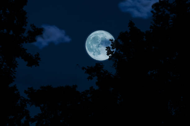 istock Full moon, clouds and skies with forest in the dark night 1050520122