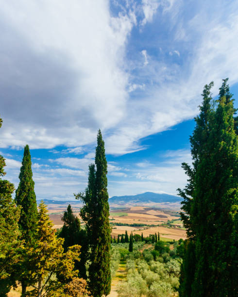 istock Tuscan fields and hills viewed from Pienza, Italy 1050527194