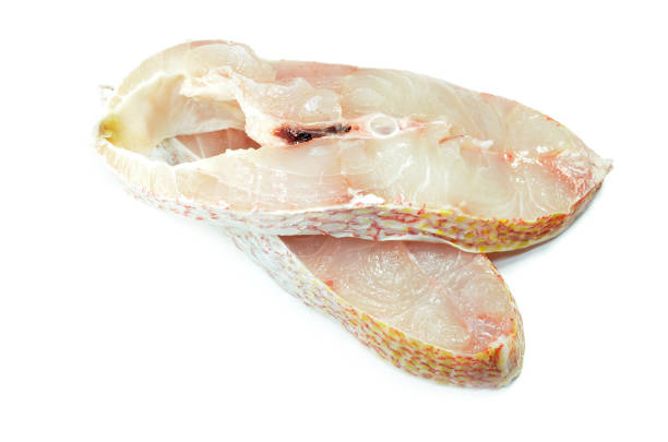 istock Red snapper fish fillet isolated 1050529452