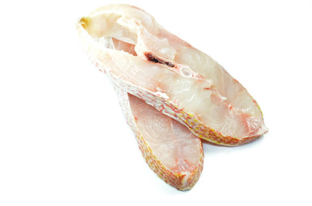 istock Red snapper fish fillet isolated 1050529856