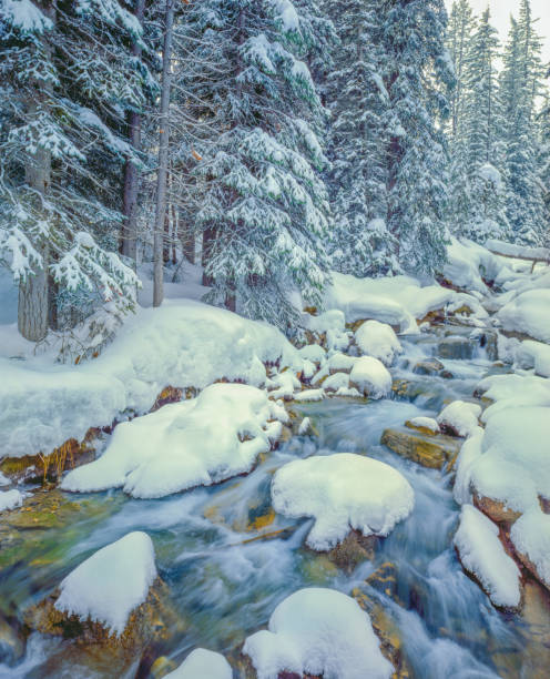istock Yosemite National Park winter forest and Merced River, CA 1050539830