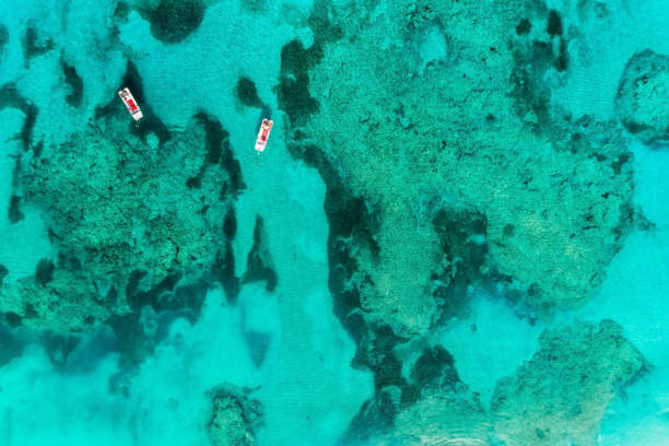 Two empty boats on clear ocean water with coral reefs. Aerial top view Two empty boats on clear ocean water with coral reefs. Aerial top view snorkel photos stock pictures, royalty-free photos & images