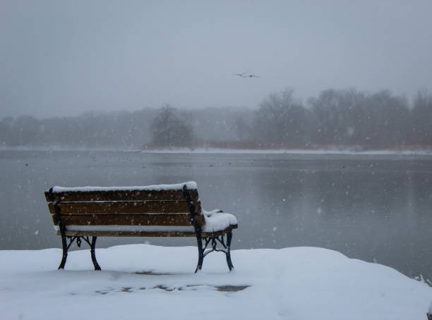 wrought urn bench and lantern on a background of a winter park and lake