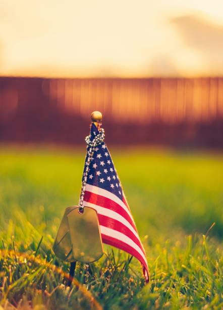 istock US Veterans Day remembrance. American flag and dog tags 1050550764